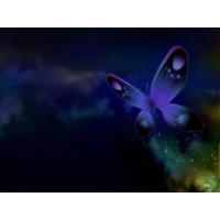 Фиолетовая бабочка - картинки и красивые обои, обои фэнтези