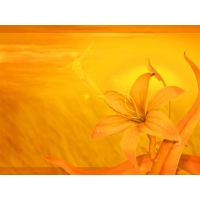 Жёлтая лилия с жёлтыми листами Фантазия, картинки и фоны для рабочего стола windows