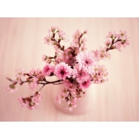 В вазе розовые цветочки - картинки и красивые обои, изменение рабочего стола, цветы