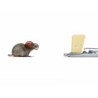 Мышка в шляпе идёт к мышеловке - обои, картинки и фото скачать бесплатно, юмор