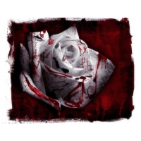 роза покрытая кровью, картинки и обои рабочего стола скачать бесплатно