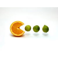апельсин хочет съесть лайм, картинки и качественные обои на рабочий стол