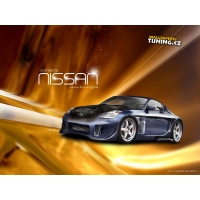 Nissan  (8 .)