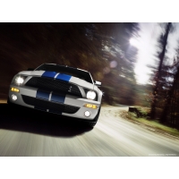 2007 Ford Shelby GT500, , ,     