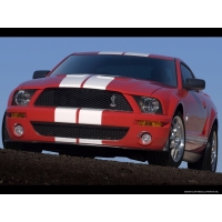 2007 Ford Shelby GT500     