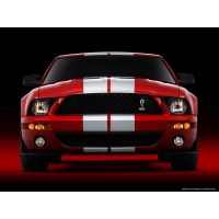2007 Ford Shelby GT500,       
