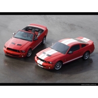 2007 Ford Shelby GT500,         