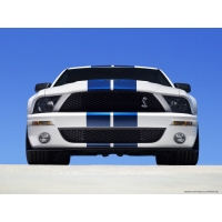 2007 Ford Shelby GT500,       