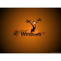Windows XP,      , 