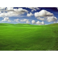 Windows XP, картинки и заставки на рабочий стол