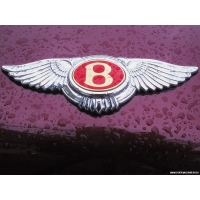 Логотип Bentley, картинки, обои, скачать заставку на рабочий стол