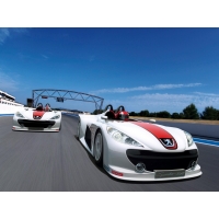 Peugeot Spider 207 Race ,  ,   