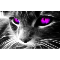 Фиолетовые глаза - обои и картинки на рабочий стол бесплатно