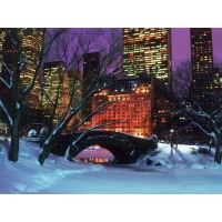 Центральный парк в зимнем Нью-Йорке - новейшие обои на рабочий стол и картинки