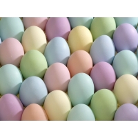 Разноцветные яйца - скачать бесплатно картинки и обои