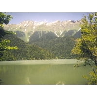 Озеро Рица, Абхазия обои на рабочий стол бесплатно и картинки