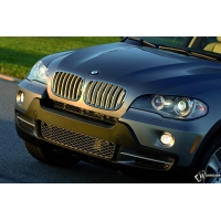 BMW X5 (2007)        