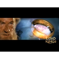   (the Lord of the Rings)        