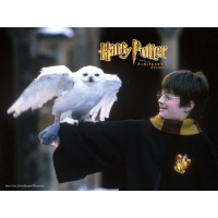 Гарри Поттер (Harry Potter) скачать картинки бесплатные для компа