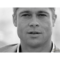 Brad Pitt  (3 .)