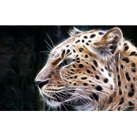 Рисованный Леопард скачать бесплатно картинки и обои