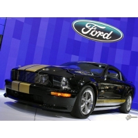 Ford Mustang Shelby GT-H     ,    