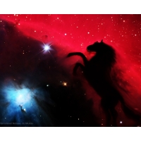 Horsehead Nebula        