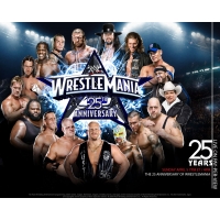 WWE  25        
