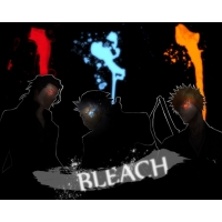  - Bleach       