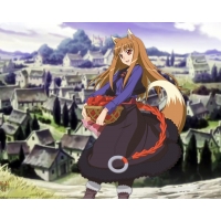  - Spice and wolf       