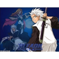 Hitsugaya Toushiro       