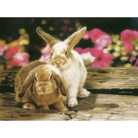 Bunnies In Petunias, Lesley Harrison скачать картинки на рабочий стол и обои