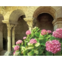Франция, монастырь Сен Поль де Мозоле картинки и фоны для рабочего стола windows