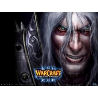 Warcraft 3 frozen throne -       