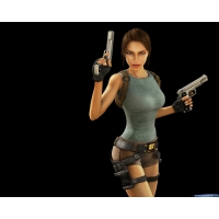 Tomb Raider: Anniversary ,     