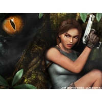 Tomb Raider: Anniversary    -   