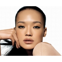 Shu Qi       