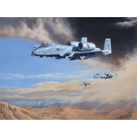 A-10 Warthog   -  -    ,  