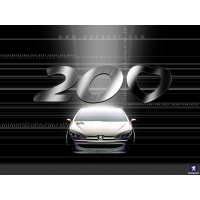  Peugeot 200 -       ,  -   