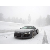 Audi R8    -       ,   