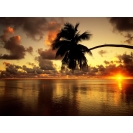 Пальма и закат над морем - клевые картинки - тюнинг рабочего стола, тема - небо