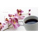 Кофе и цветы - фоновые рисунки на рабочий стол