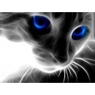 Кот из дыма c синими глазами, картинки, заставки на рабочий стол бесплатно