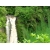 Водопад в джунглях - обои и картинки на красивый рабочий стол, рубрика - природа