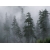Туманный лес картинки, обои на рабочий стол широкоформатный