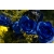 Синии розы обои для рабочего стола высокого разрешения