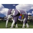 (1024х768, 227 Kb) Слон в мире больших возможностей - картинки, фото на прикольный рабочий стол, компьютер