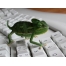 (1024х768, 158 Kb) Зеленый хамелеон на ломаной клавиатуре - обои скачать бесплатно и фотографии, компьютер