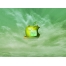 (1024х768, 168 Kb) Погрызенное зеленое яблоко от apple с лягушкой, скачать картинки и обои на рабочий стол