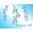(1024768, 72 Kb) qua windows XP -       ,  - 